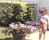 Alicia pointing at Petunias