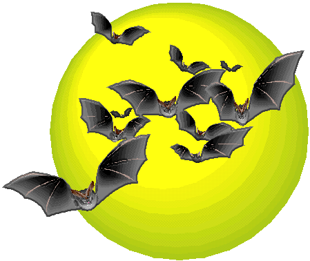 bats flying in front of moon