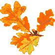 pen oak leaves and acorn